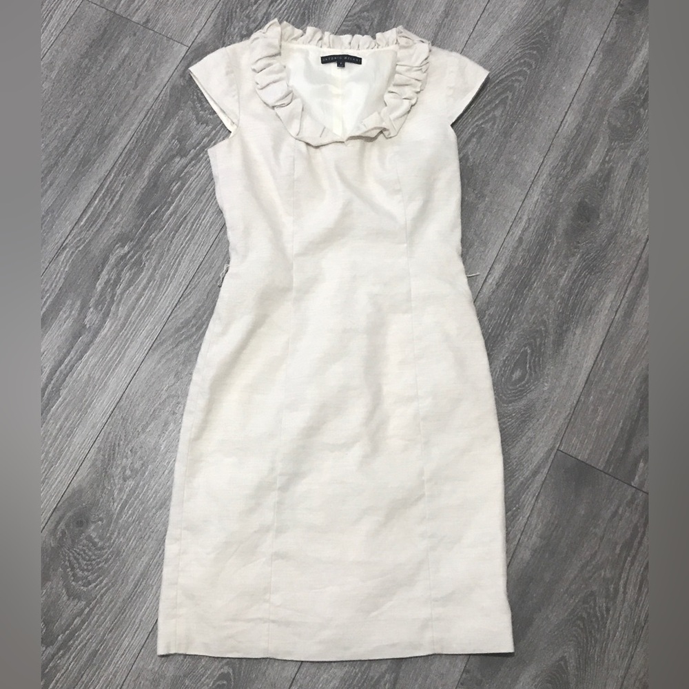 Beautiful Antonio Melani Dress
